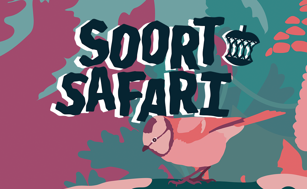 Soort Safari